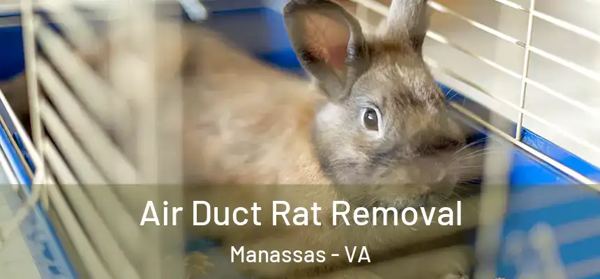  Air Duct Rat Removal Manassas - VA