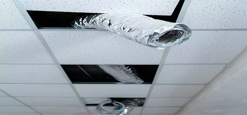 Our Air Duct Pet Hair Removal Services in Manassas, VA