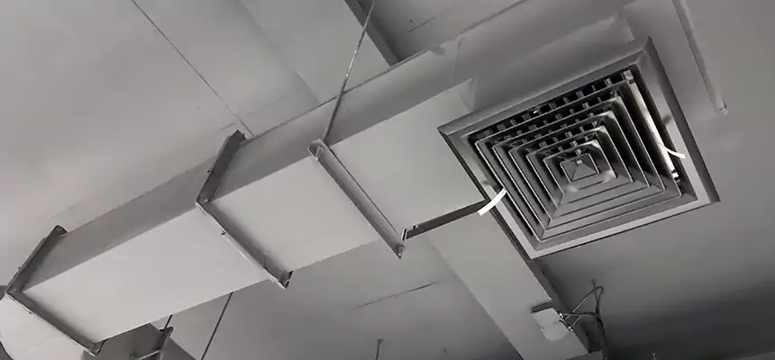 Our Pest Removal From Ducts Services in Manassas, VA