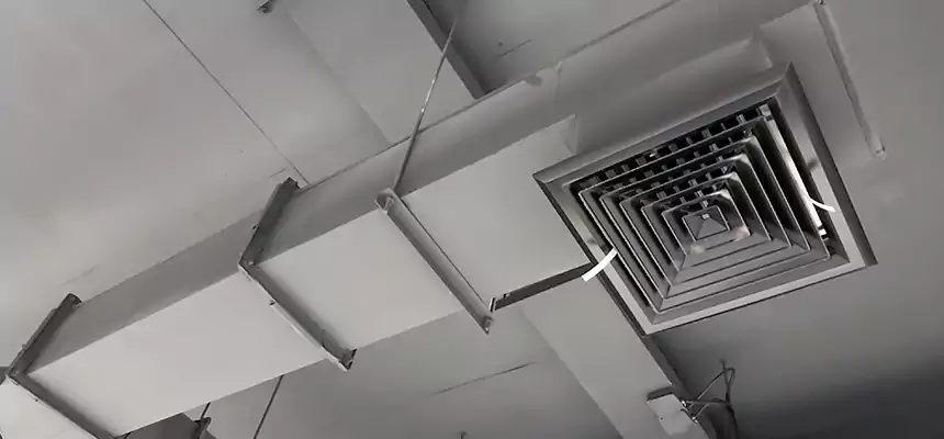 Our Rodent Droppings In Vents Services in Manassas, VA