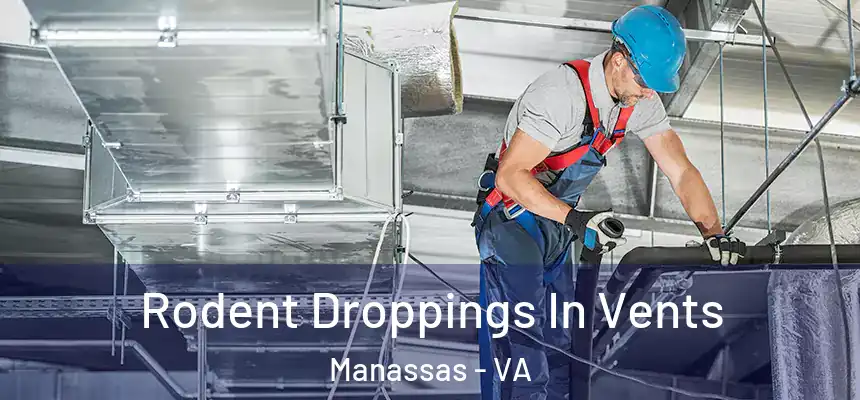  Rodent Droppings In Vents Manassas - VA