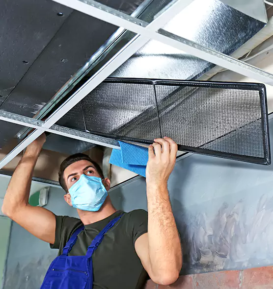 About Air Duct Bacteria Removal in Manassas
