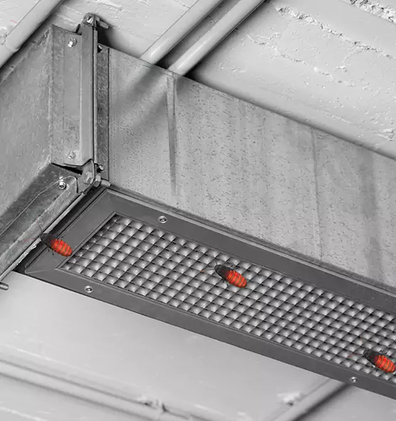 About Air Duct Cockroach Removal in Manassas, VA