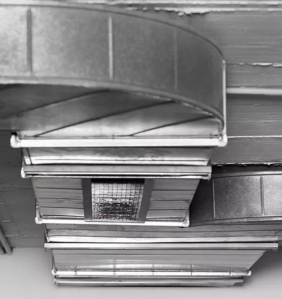 Professional Air Duct Pest Removal in Manassas, VA