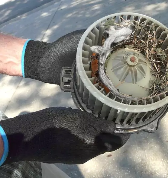 About Air Duct Rat Removal in Manassas, VA