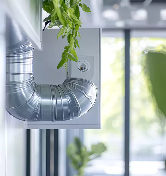 Professional Eco-Safe Dryer Vent Cleaning in Manassas, VA