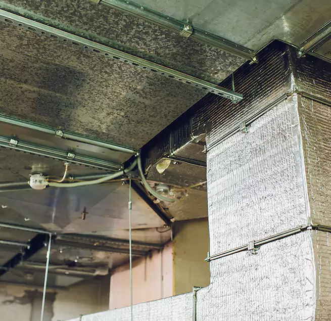 Why Homeowners & Businesses Trust Us in Manassas, VA?